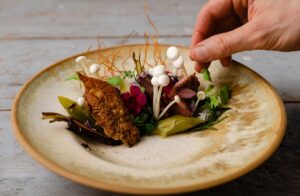 Read more about the article Oplev Tapas Fredericia: En Kulinarisk Rejse i Hjertet af Byen